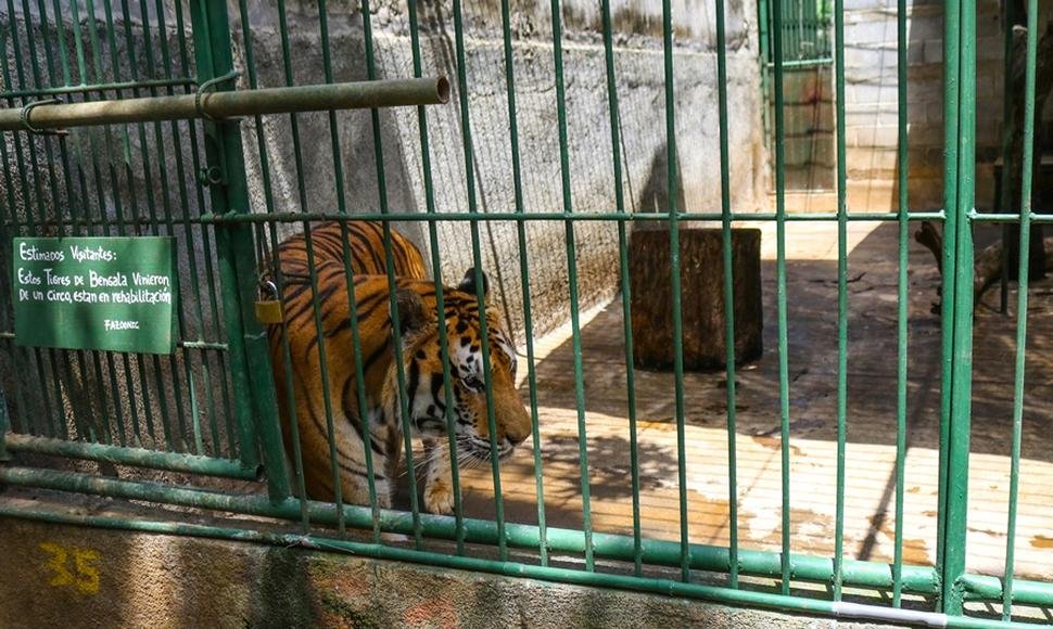 zoológico de nicaragua