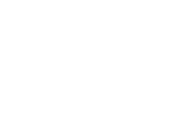 Onda Local