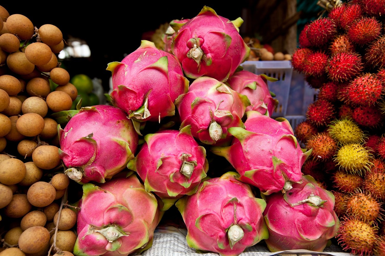 Proyectan ventas de 22 mil cajas de pitahaya de origen nicaragüense